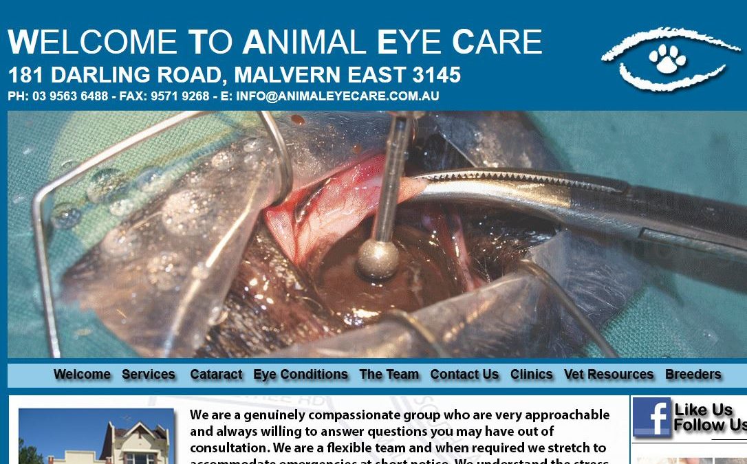 Animal Eye Care