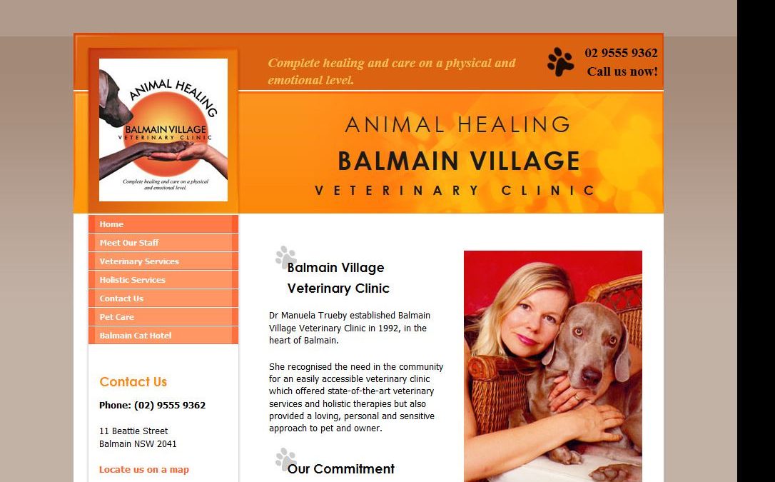 Balmain Village Veterinary Clinic