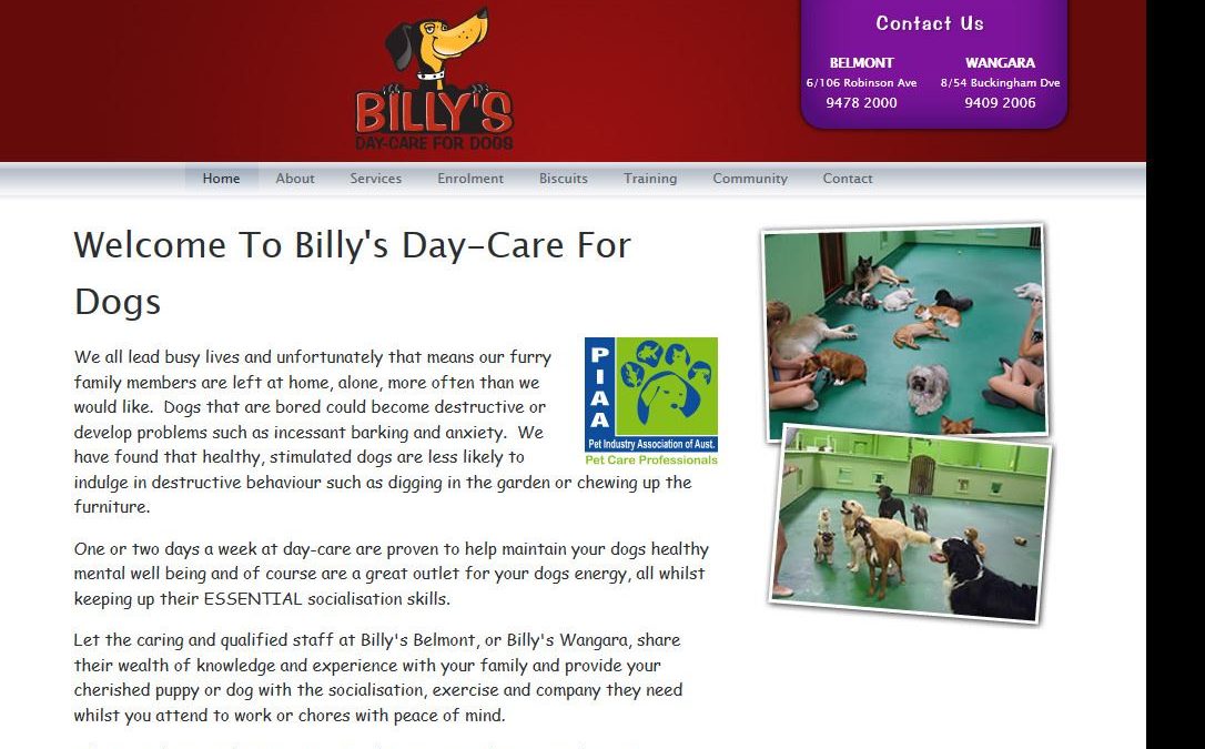 Billys Day-Care For Dogs Pty Ltd