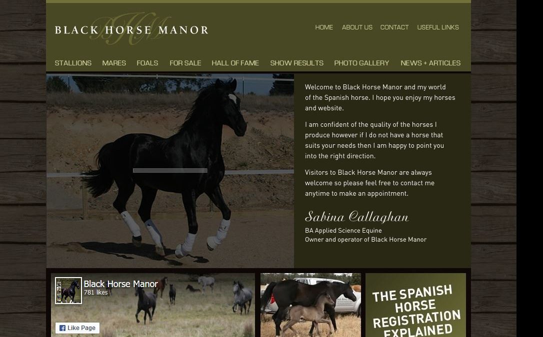 Black Horse Manor Horse Stud