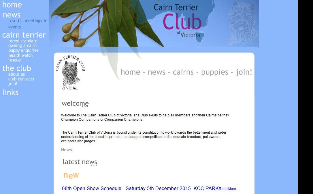 Cairn Terrier Club Of Vic