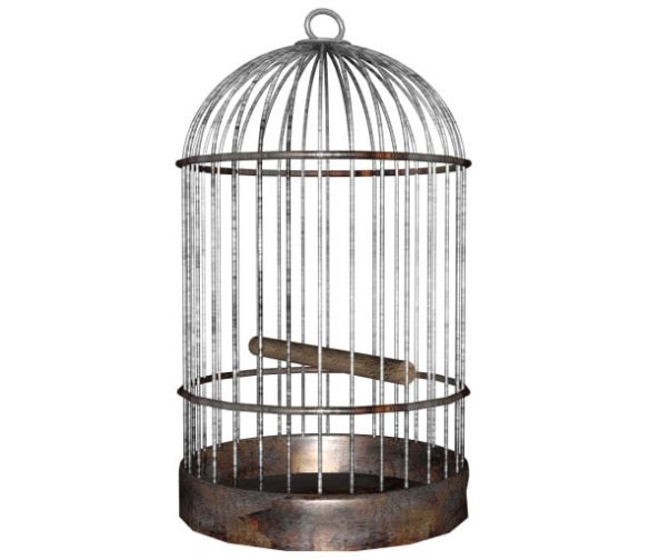 Choosing and maintaining your Bird Cage