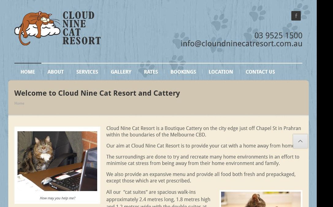 Cloud Nine Cat Resort