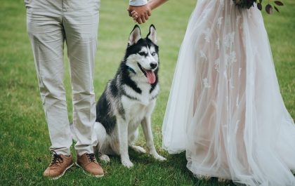 Bride and groom standing with dog