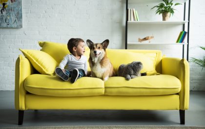 Happy child sitting on yellow sofa with pets