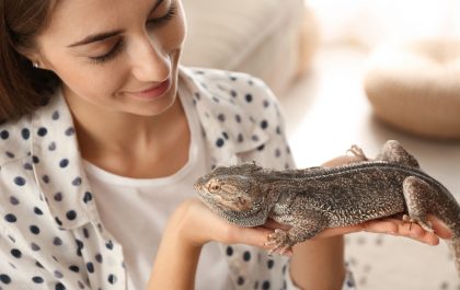 A young woman holding an ethically sourced exotic pet