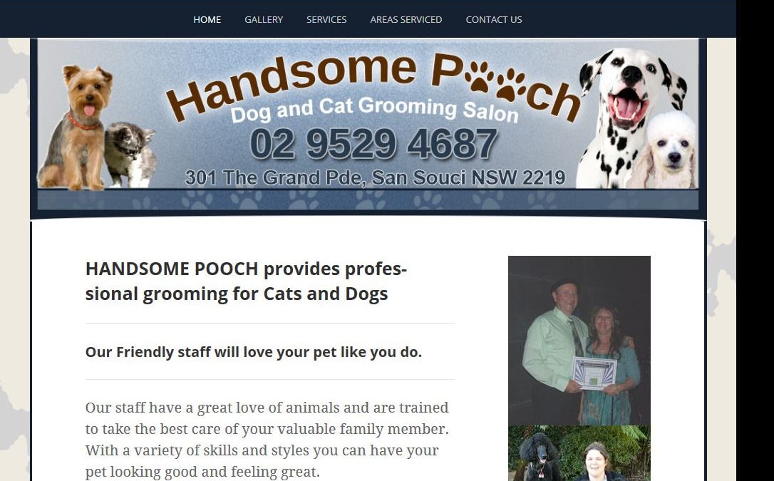 Handsome Pooch Pet Salon