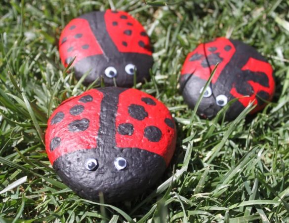 Pet Rocks - what we can learn from them.