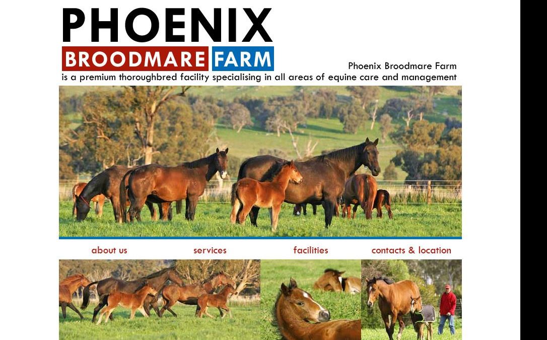 Pheonix Broodmare Farm