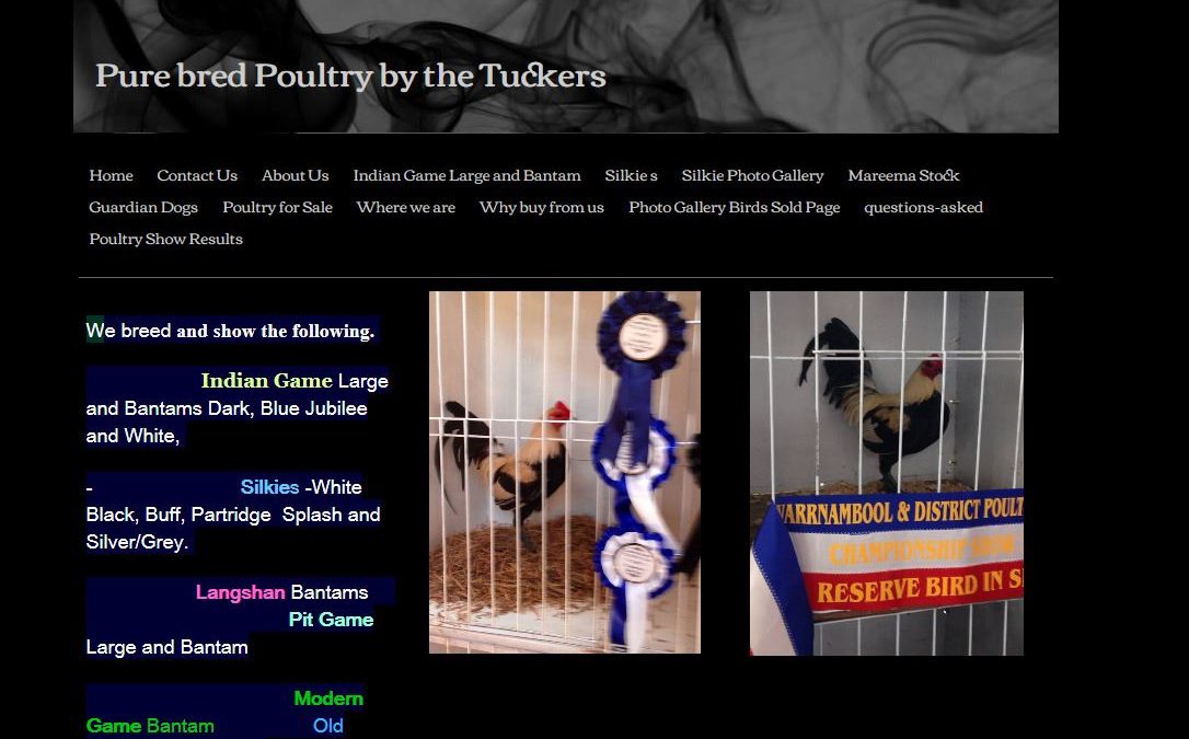 Purebred Poultry by Tuckers Vite Vite