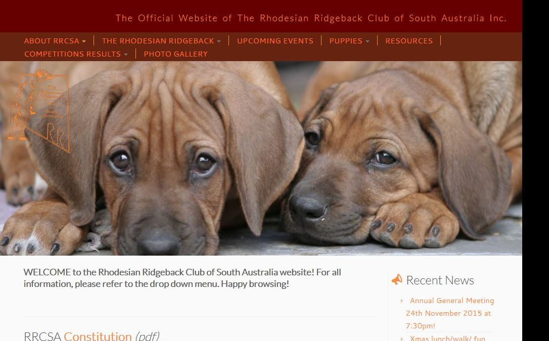 Rhodesian Ridgeback Club Of Sa Inc