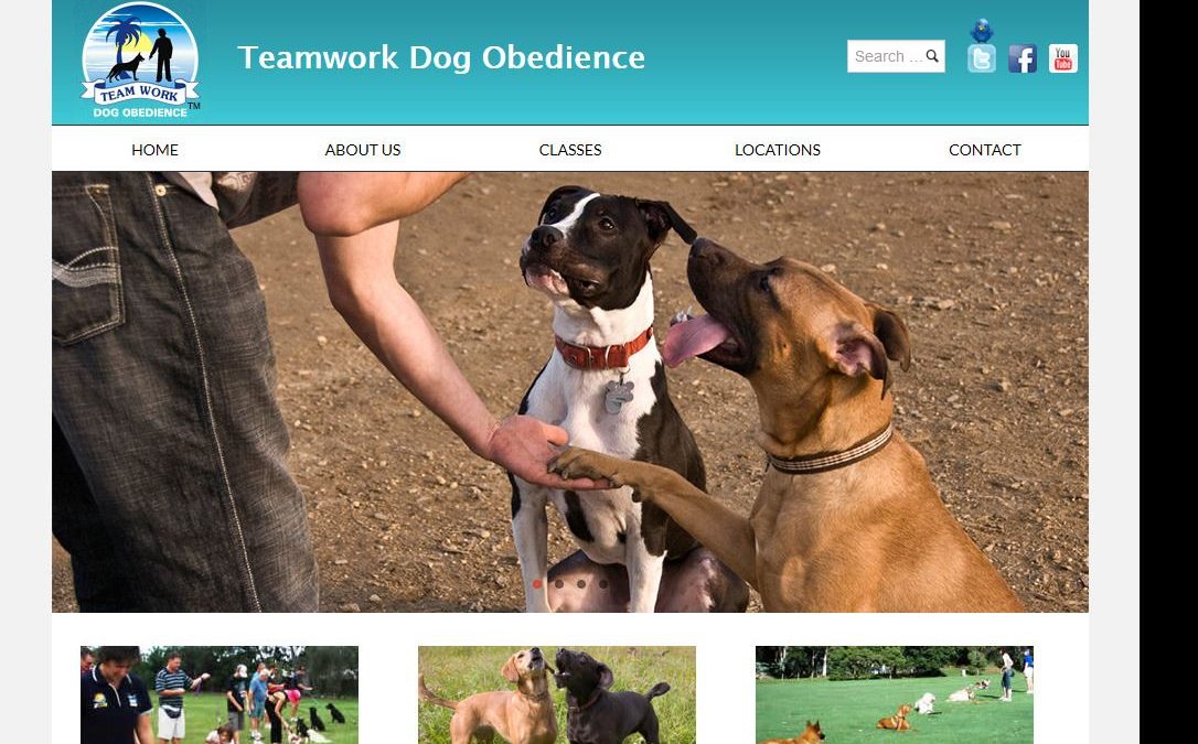 Teamwork Dog Obedience And Puppy School