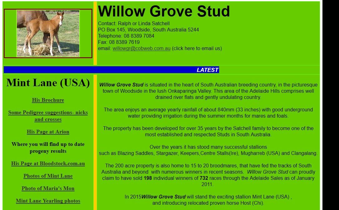 Willow Grove Thoroughbred Stud