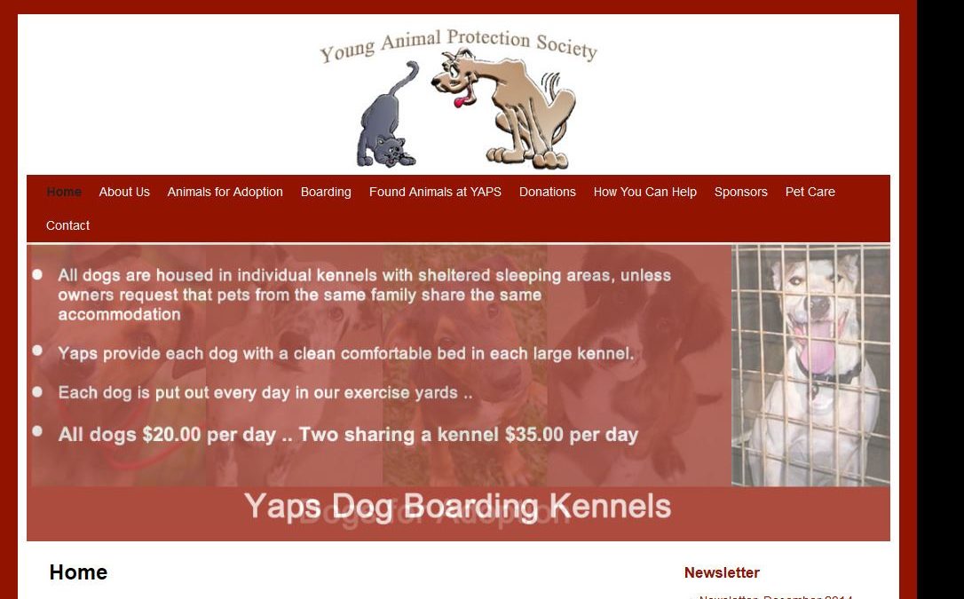 Young Animal Protection Society Inc